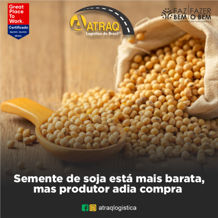 ATRAQ Logstica De acordo com o último levantamento de custos de produção realizado pelo Instituto Mato-grossense de Economia Agropecuária (Imea), foi registrado um declínio de 22,2% no preço da semente...