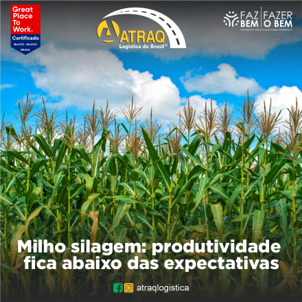 ATRAQ Logstica O cenário atual indica que a área plantada de milho silagem permanece em cerca de dois terços da área planejada, de acordo com as informações do Informativo Conjuntural da Emater/RS. A...