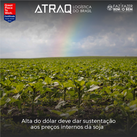 ATRAQ Logstica Essa semana se iniciou com os preços da soja sendo tendencionados pela recente disparada do dólar em relação ao real, com a moeda norte-americana superando R$ 6,07. Apesar disso, as perdas registradas...