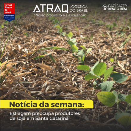 ATRAQ Logstica O 5º Levantamento da Safra de Grãos 2024/25, divulgado pela Companhia Nacional de Abastecimento (Conab), indica que, embora as lavouras de soja em Santa Catarina apresentem boas condições gerais, a...