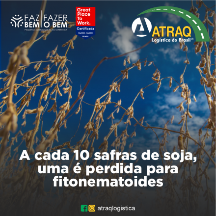 ATRAQ Logstica Uma pesquisa realizada pela empresa Agroconsult, em parceria com a Sociedade Brasileira de Nematologia e uma empresa fabricante de insumos, trouxe números alarmantes sobre os prejuízos causados pelos nematoides na...